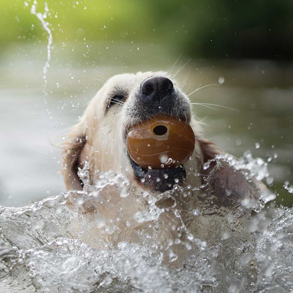 BALL – Balle en caoutchouc naturel pour chien