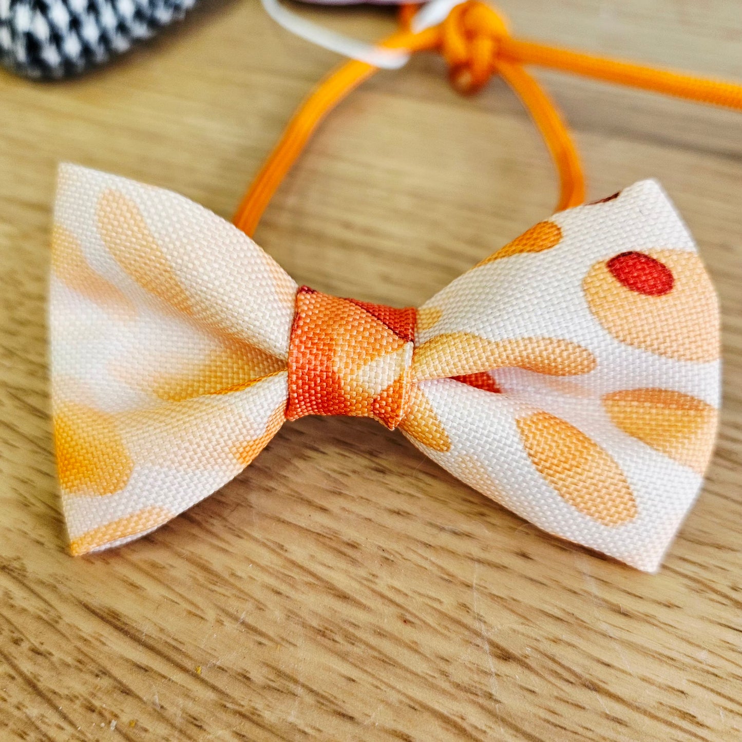 Nœud papillon - Collection Léo Punch