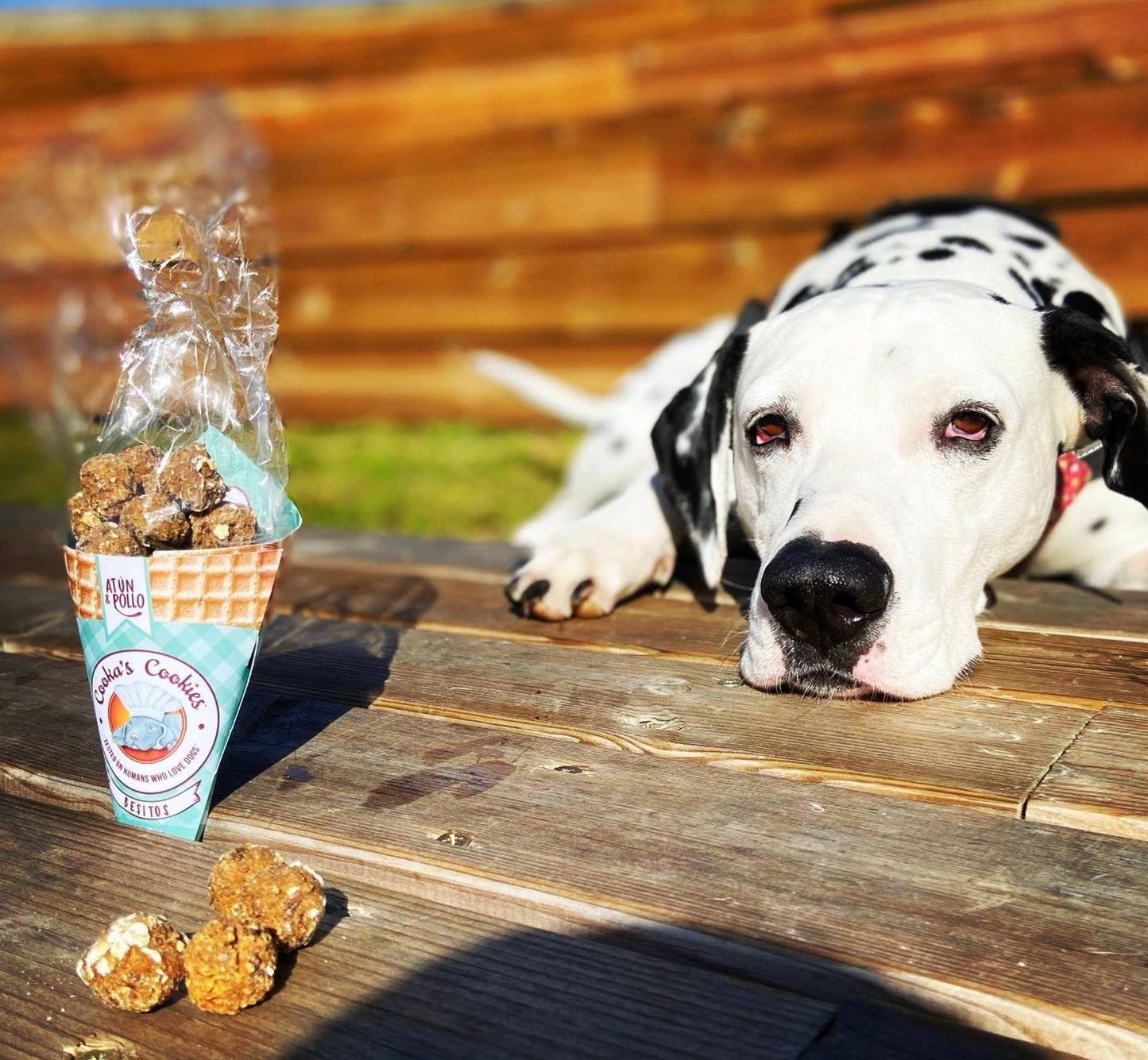 Beijinhos - Friandises croquantes et naturelles pour chiens au poulet et au thon