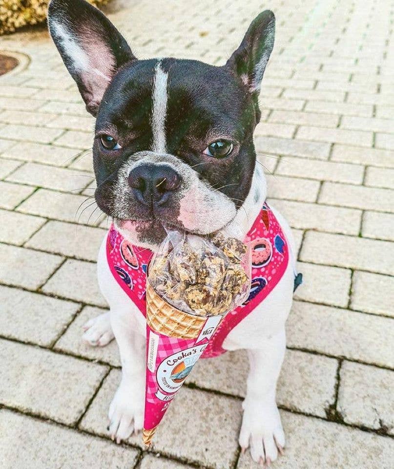 Beijinhos de Vaca - Friandises croquantes et naturelles au bœuf pour chiens