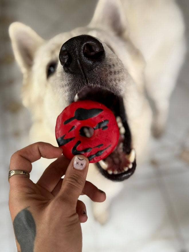 Beignets aux vampires - Friandises d'Halloween pour chiens