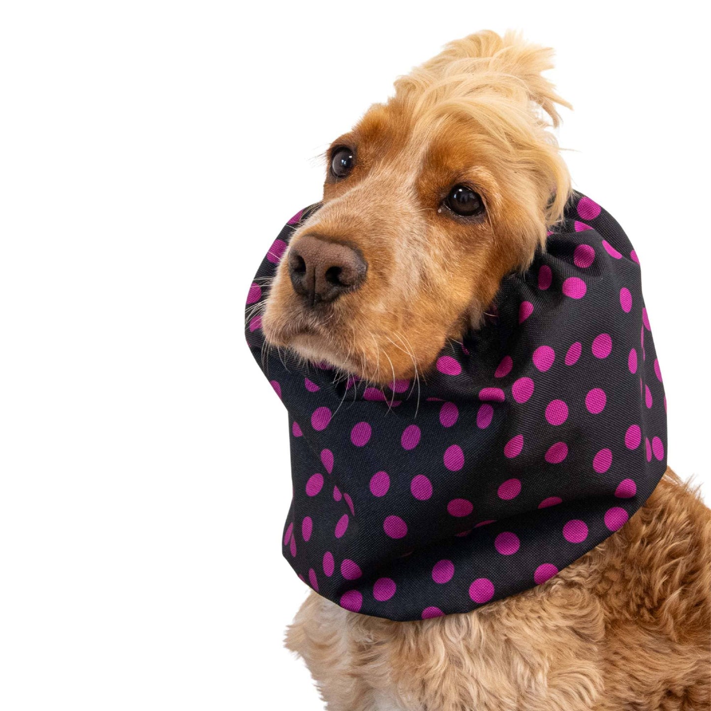 🐾 Snood Imperméable Double Épaisseur - Pois roses