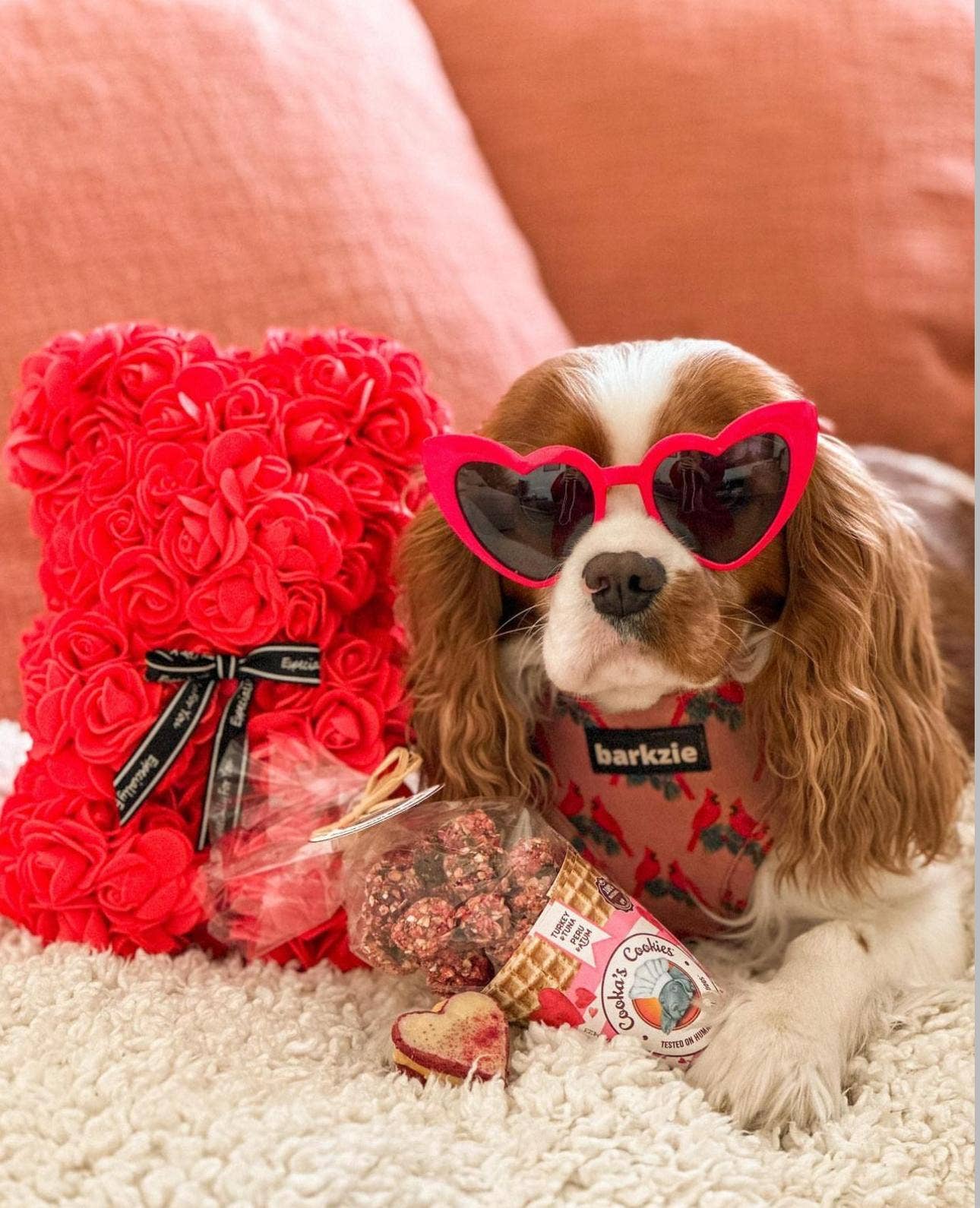 Bisous roses - Friandises pour chiens dinde et thon