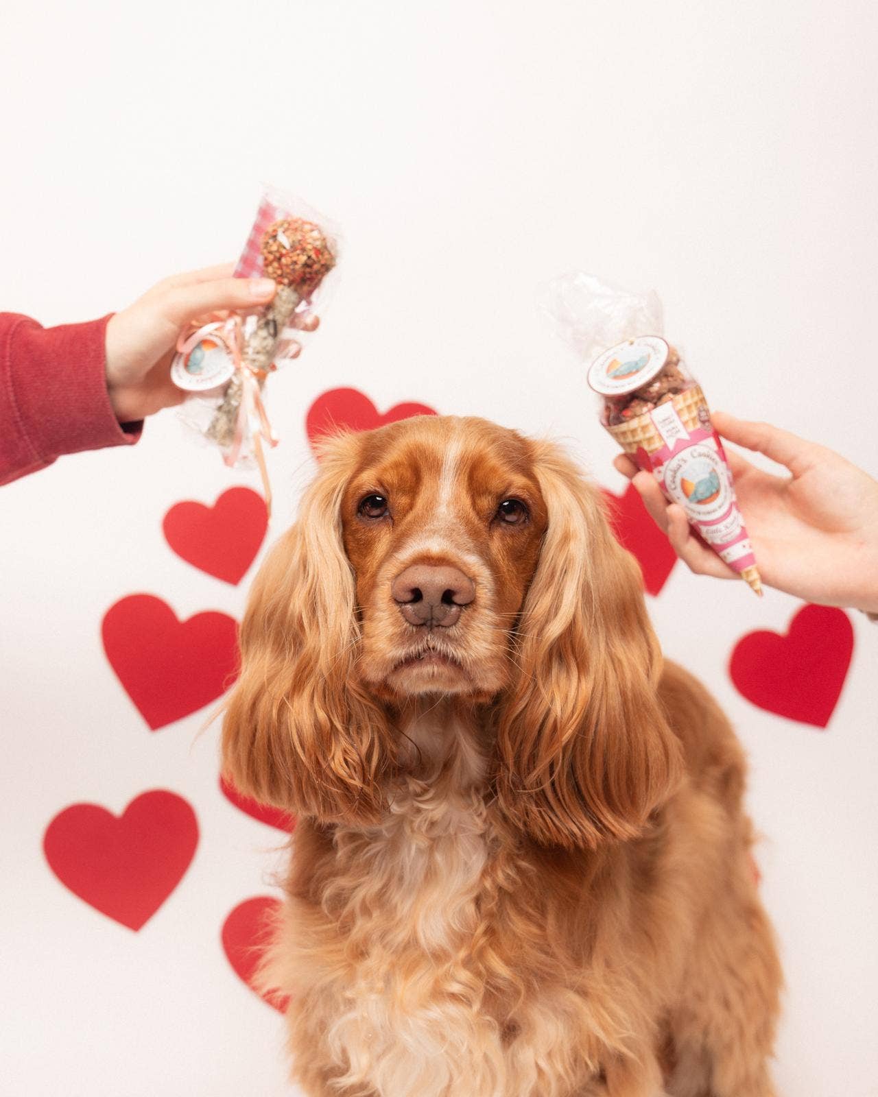 Bisous roses - Friandises pour chiens dinde et thon
