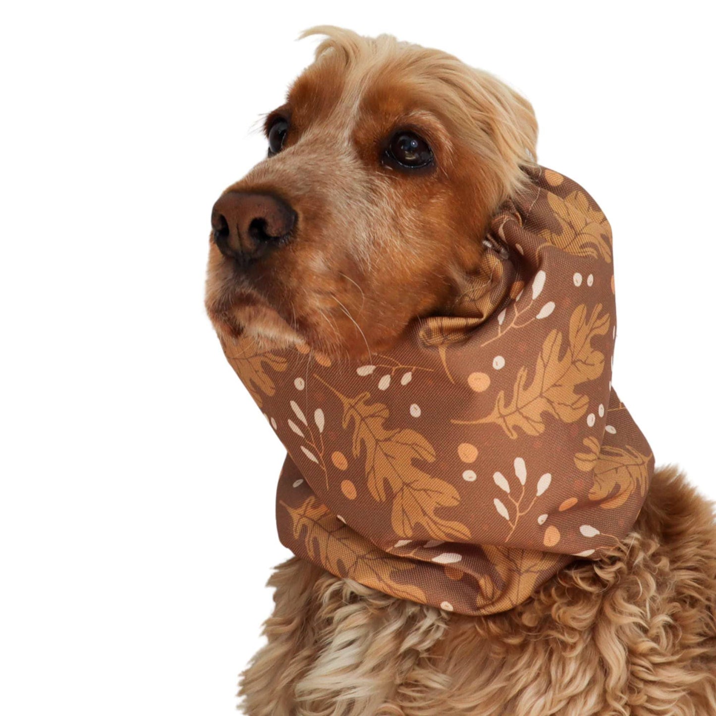 🐾 Snood Imperméable Double Épaisseur - Chêne d'automne
