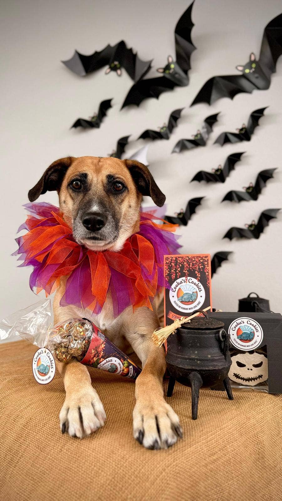 Halloween - Friandises à la dinde et à la citrouille Kiss the Witch