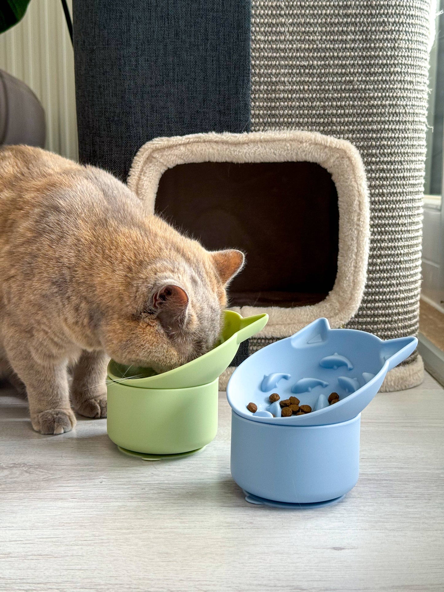 🐱 Gamelle anti-glouton “Cat” – Pour chats et petits chiens