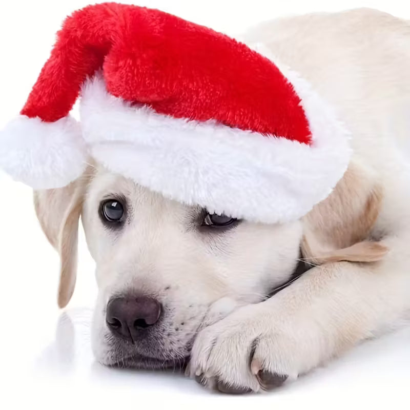 🎅 Bonnet de Noël pour Petits Chiens et Chats – Rouge et Blanc à Pompon