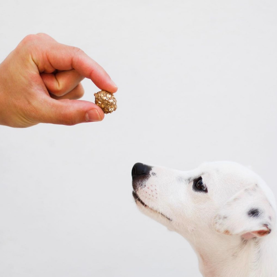 Beijinhos - Friandises croquantes et naturelles au porc et à la sardine pour chiens