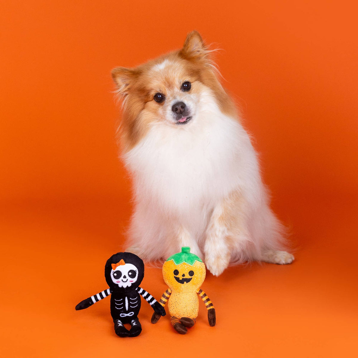 Oh My Gourd! – Lot de 2 peluches Halloween pour chien