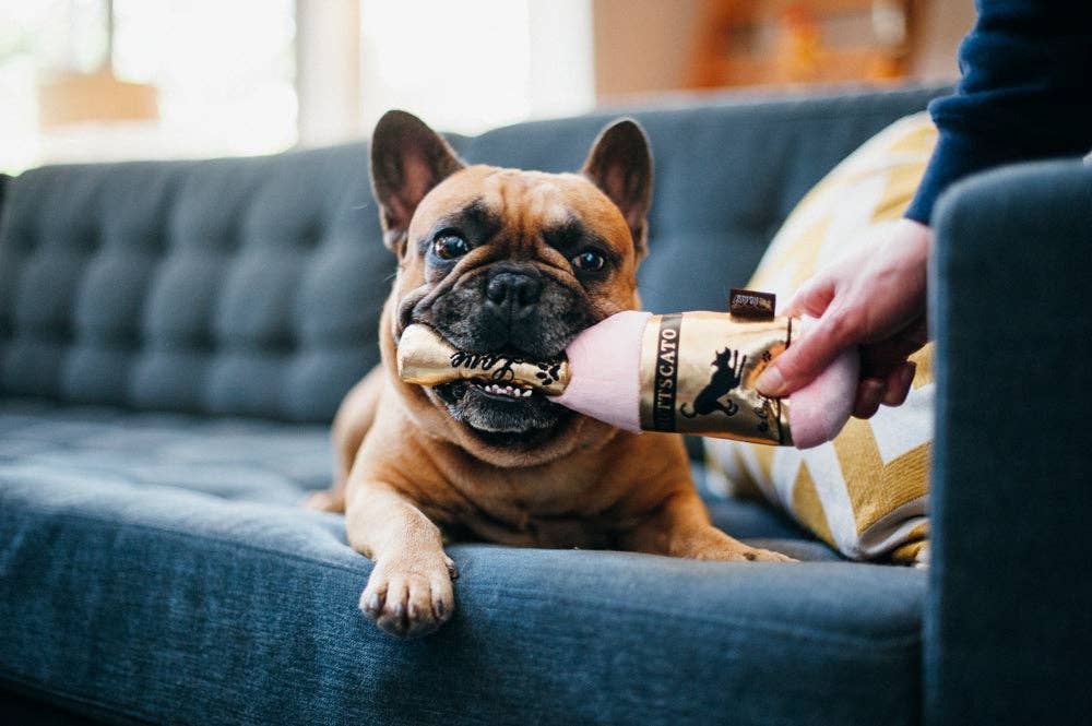 Bouteille LOVE - jouet pour chien