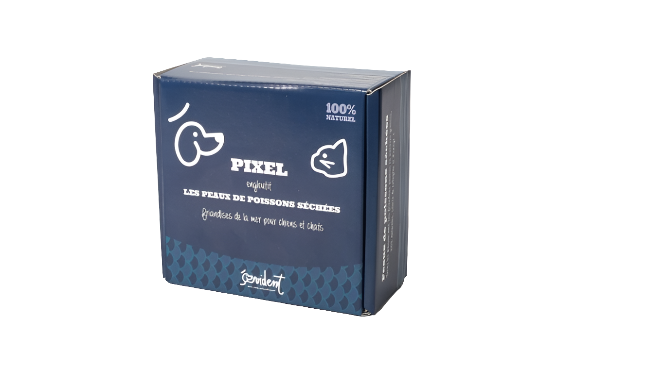 PIXEL- Peaux de poisson séchées
