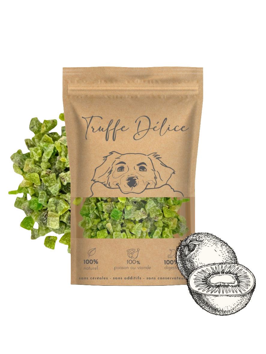 Friandises au kiwi pour chien