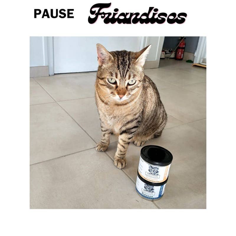 Friandises pour chat 3 volailles🐔✨