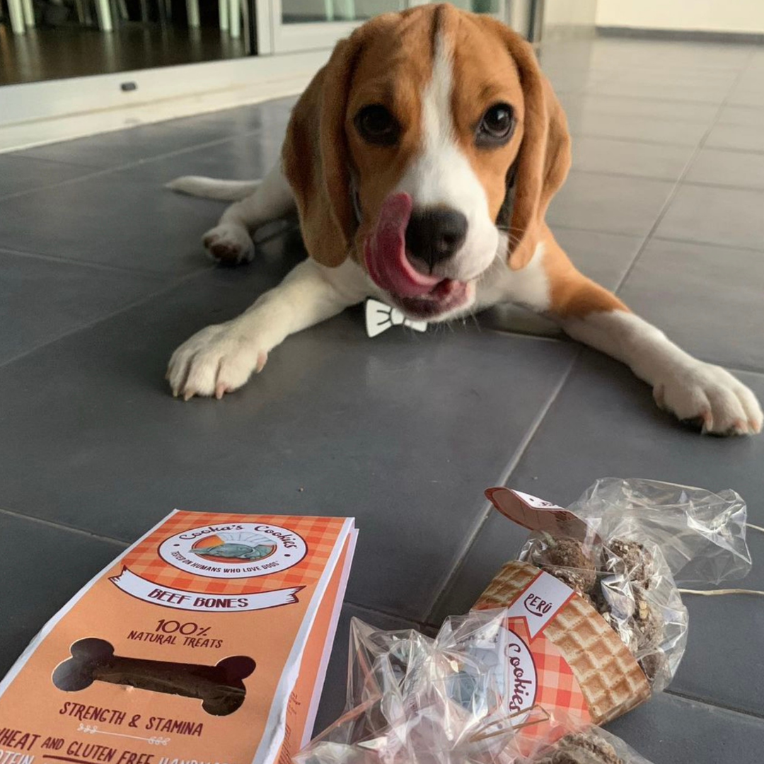 Beijinhos Turkey - Friandises croquantes et naturelles pour chiens à la dinde
