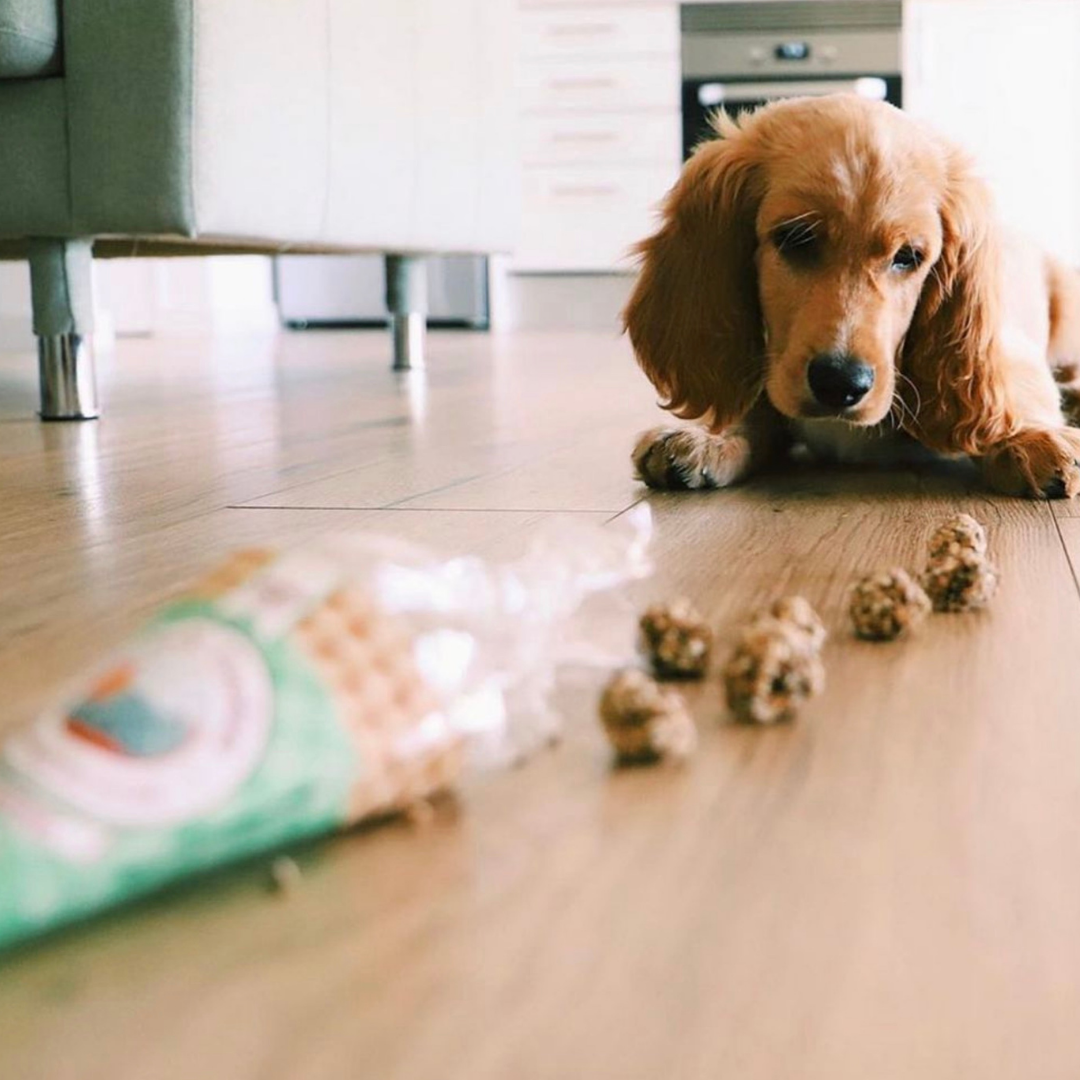 Beijinhos - Friandises croquantes et naturelles au porc et à la sardine pour chiens