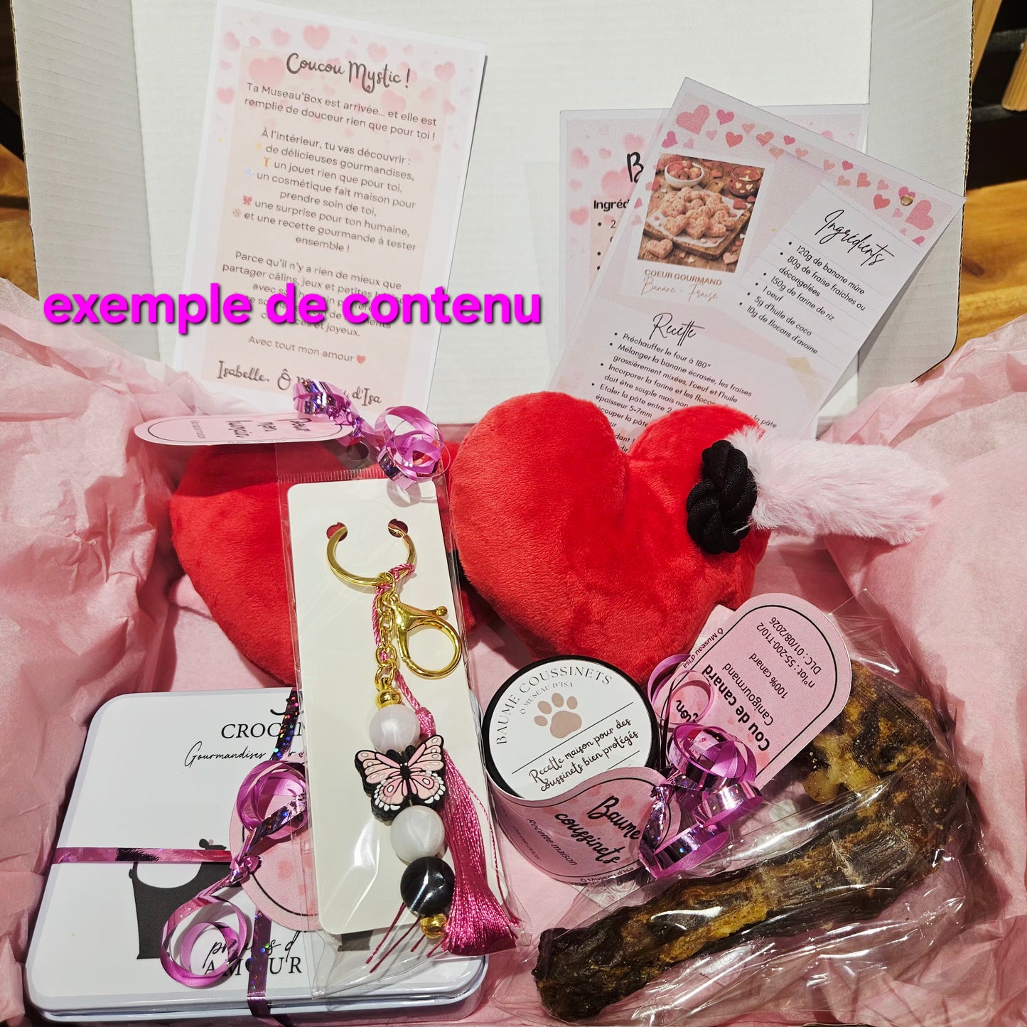 Museau'box Musique pour chien - Édition limitée bimestrielle - Réservation