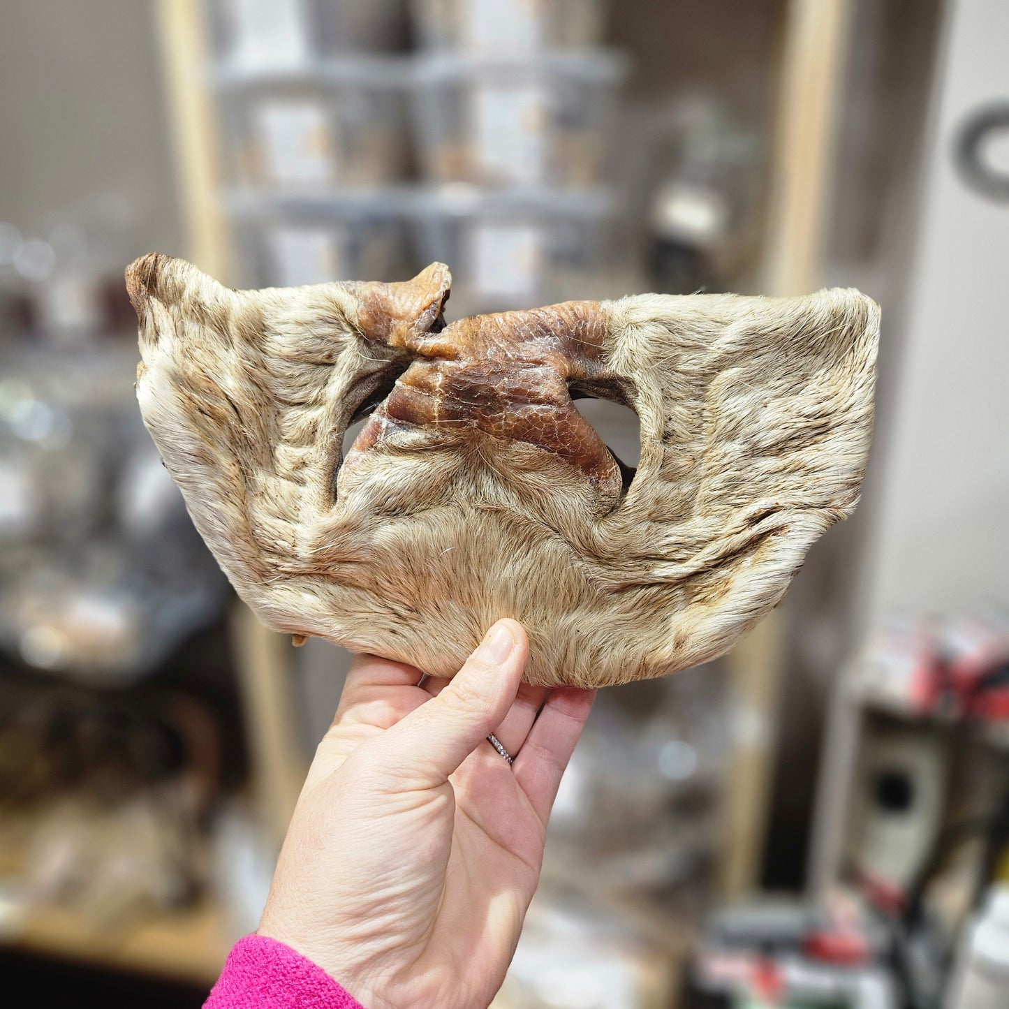 🐮 Museau de bœuf séché avec poils en vrac – Friandise 100 % naturelle pour chien