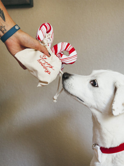 Peluche de Noël – 3 Sucres d’Orge & Pochon - jouet pour chien