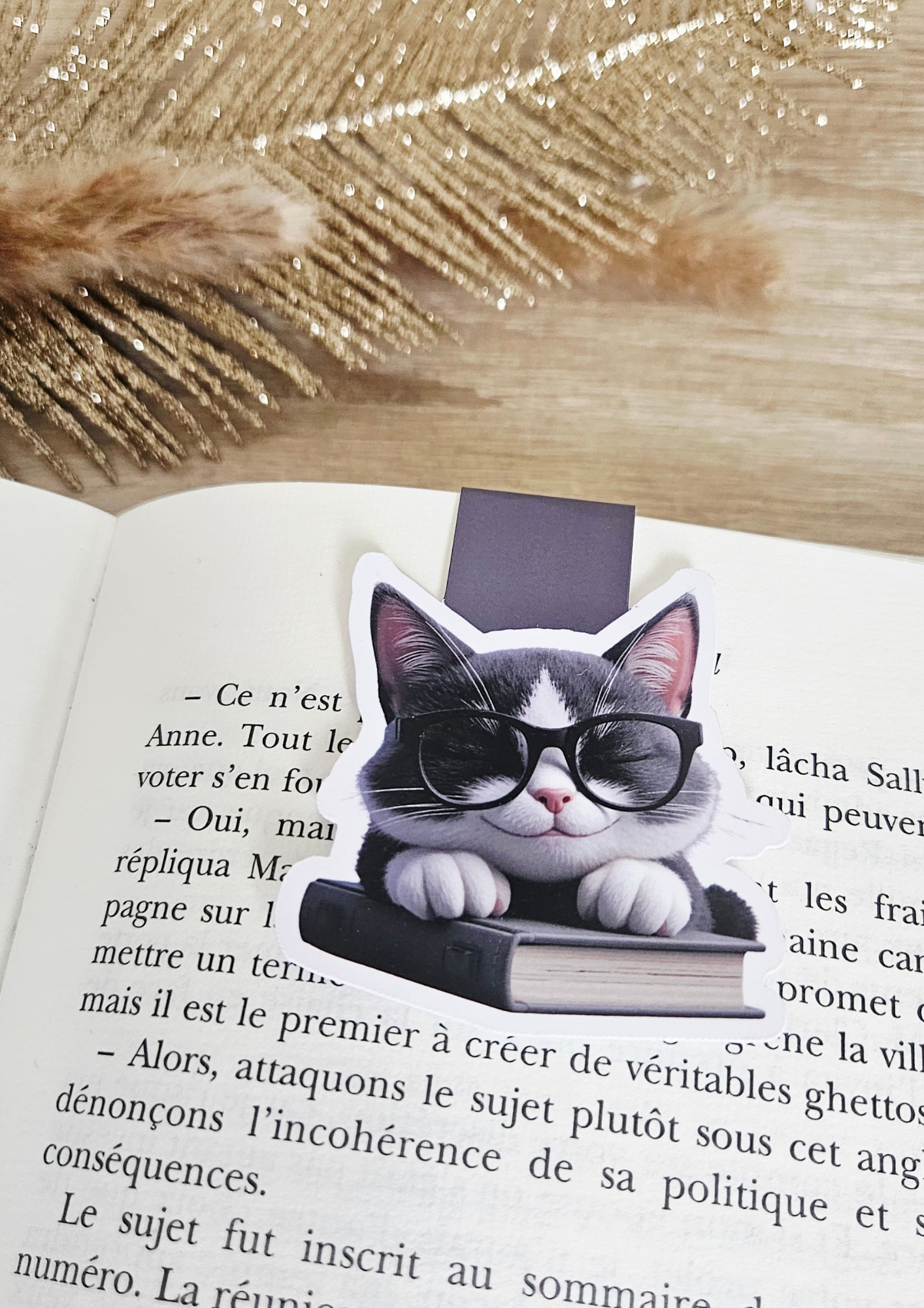 Marque-pages Chat gris et blanc