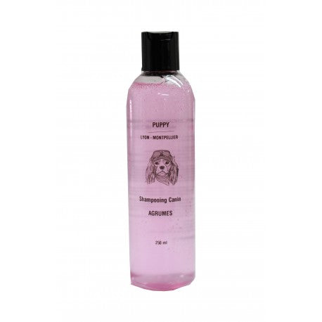 Shampoing Agrumes 250ml