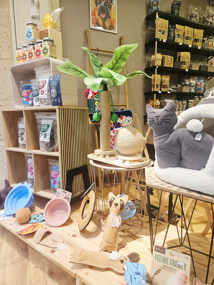 La sélection du moment