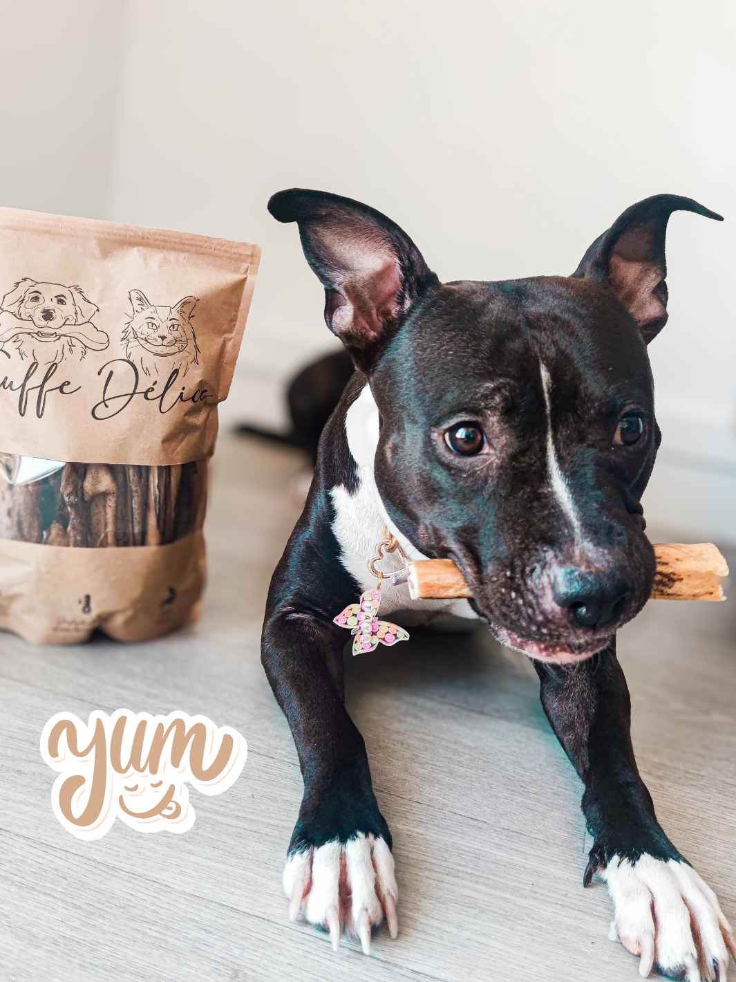 🦌 Peau de biche – Friandise naturelle à mâcher pour chien