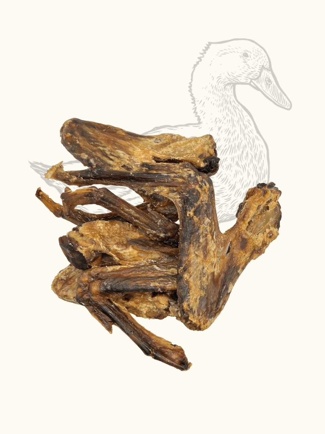 🦆 Wings de canard – Friandises 100 % naturelles pour chien