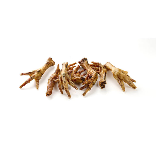 Pattes de poulet séchés pour chiens - mastication