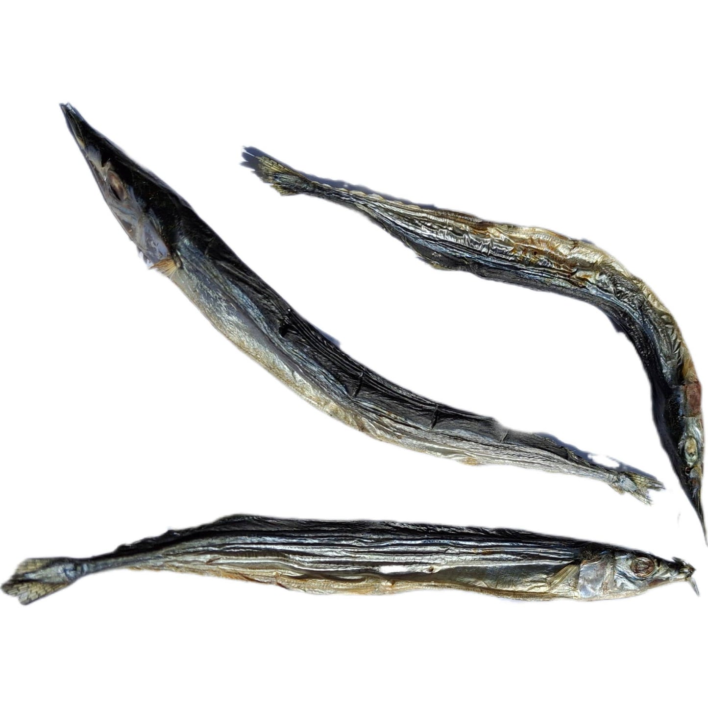 Aiguilles de mer séchées