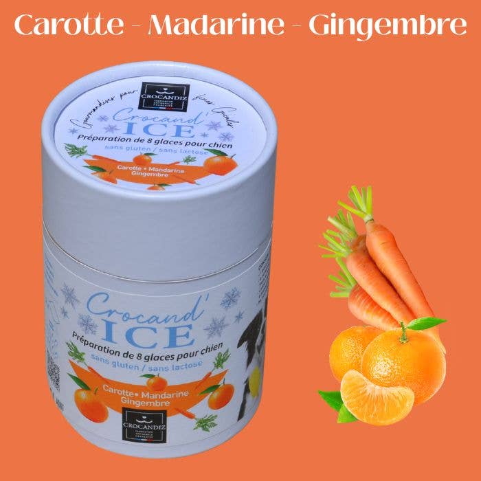 Glace pour chien carotte et mandarine