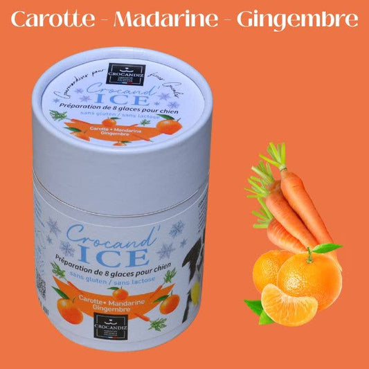 Glace pour chien carotte et mandarine