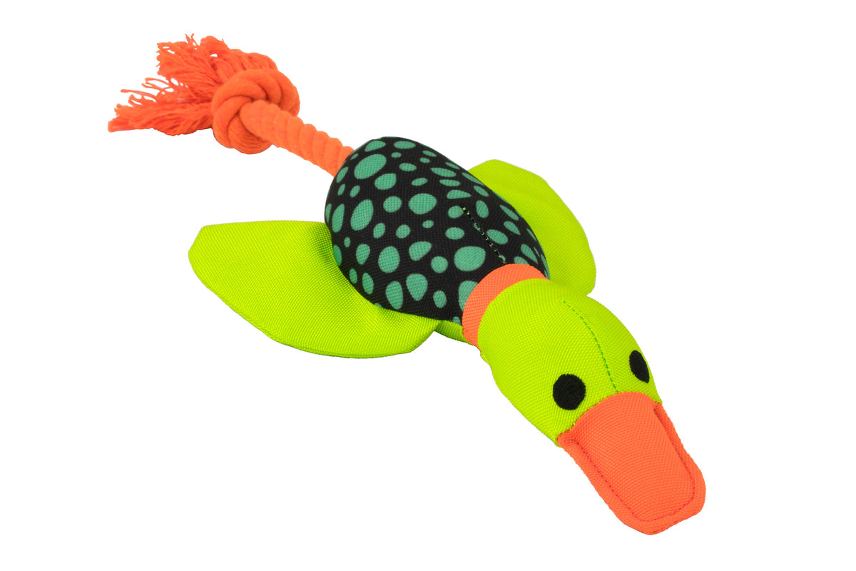 Canard Harry avec corde dentaire 30 cm