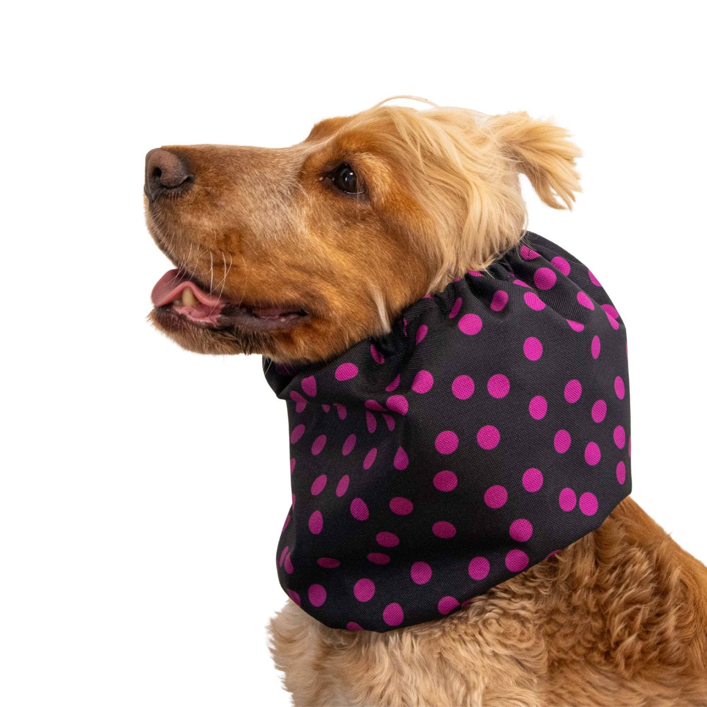 🐾 Snood Imperméable Double Épaisseur - Pois roses