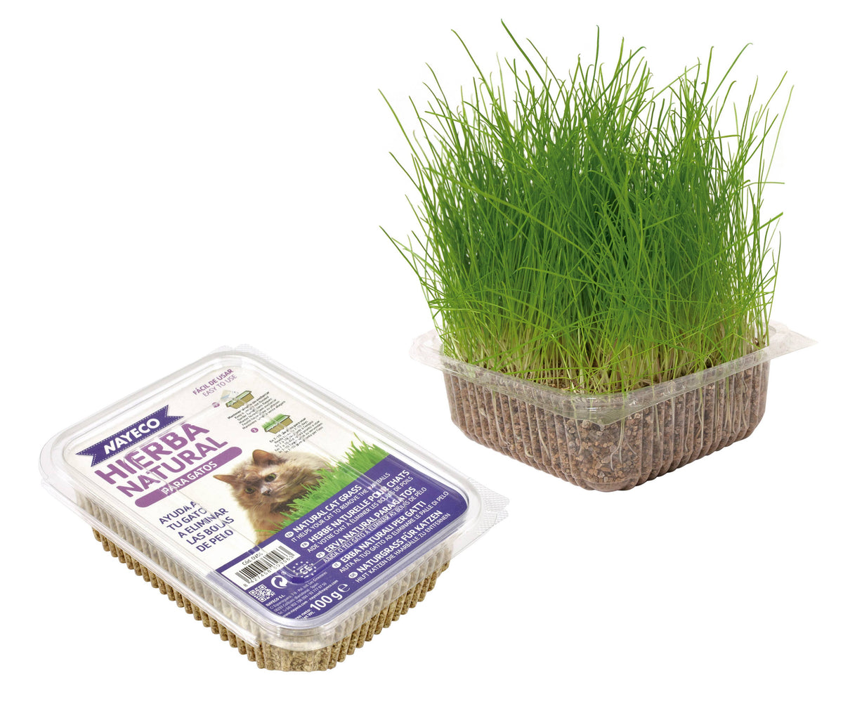 Herbe à chat – 120 g