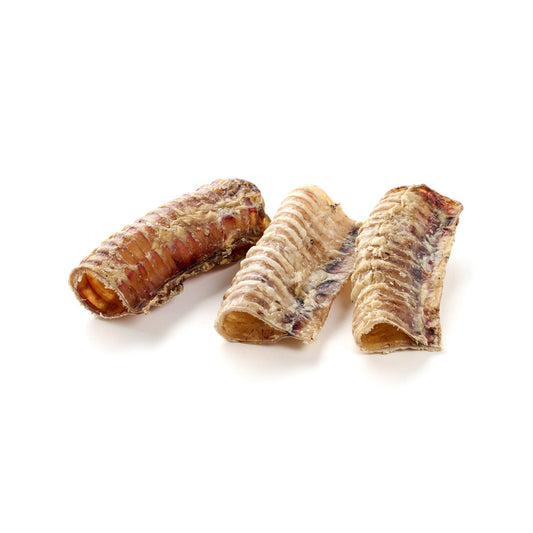 Trachées de bœuf courtes, lot de 7 pièces - Mastication gourmande pour chien