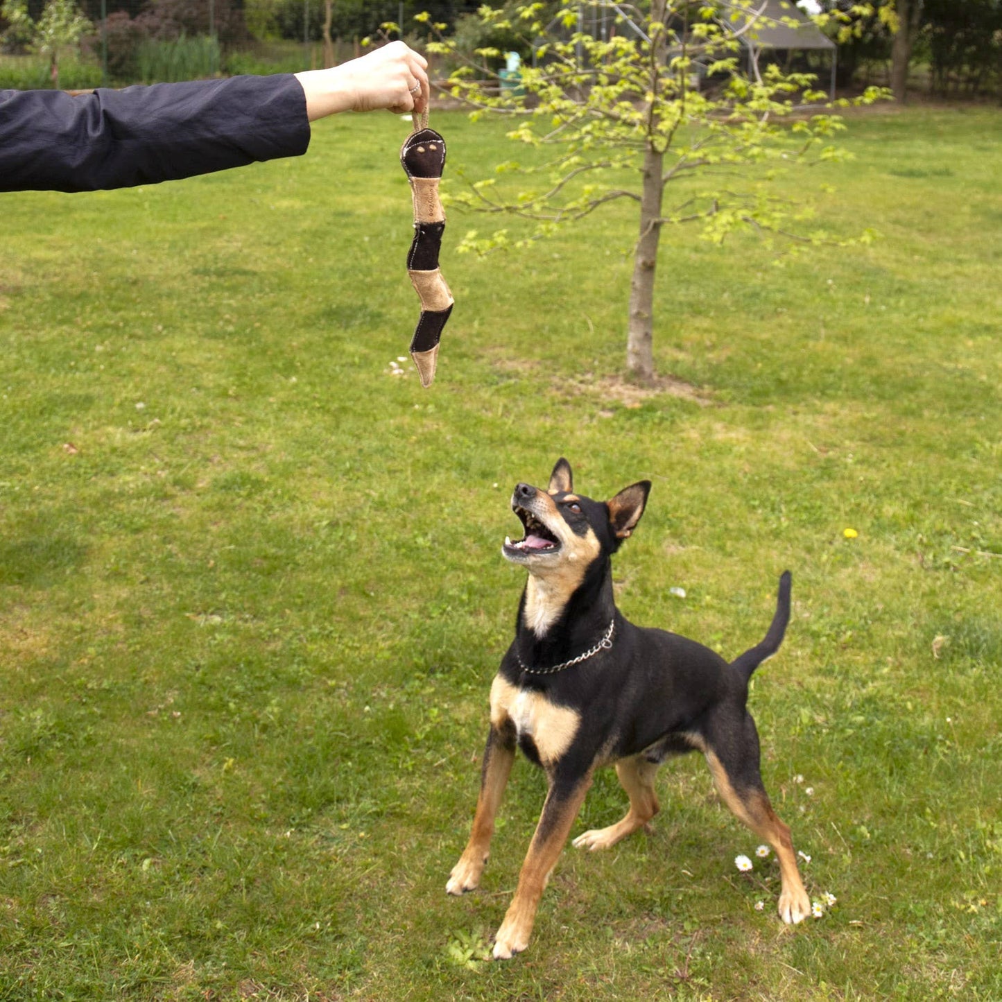 Serpent en daim - Jouet naturel pour chiens