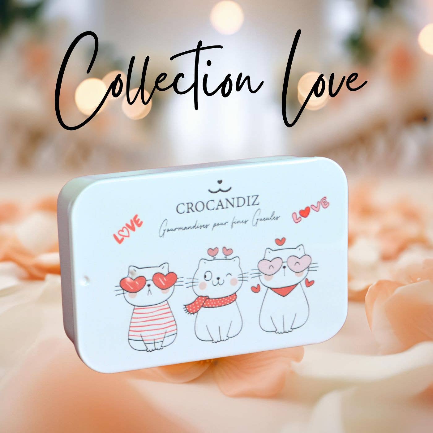 Boîte de friandises Chat Rouge & Blanc – Collection Love ❤️🐱