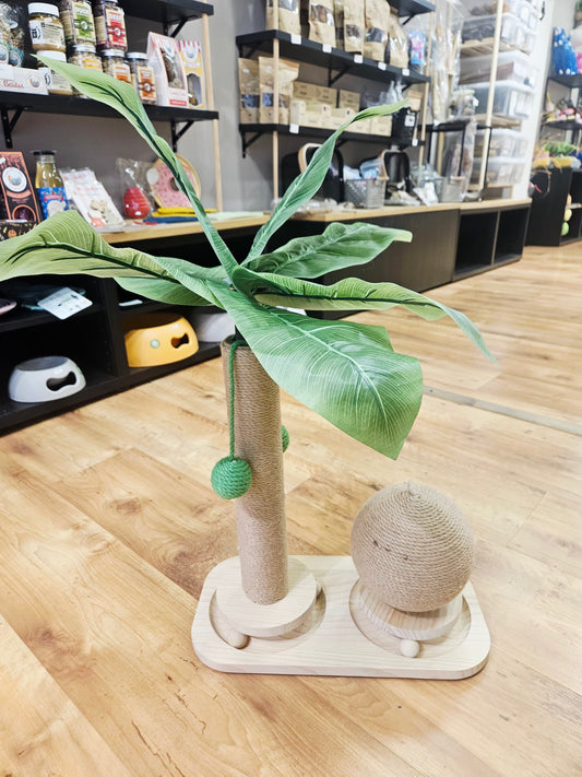 Arbre à chat en bois – Palmier avec balle & griffoir