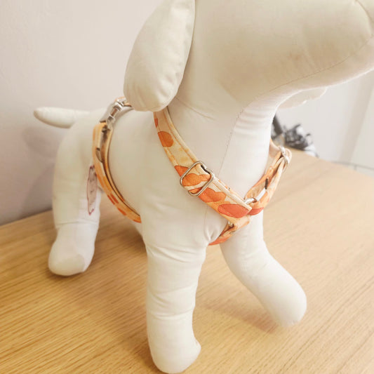 Harnais en tissu - Collection Léo Punch