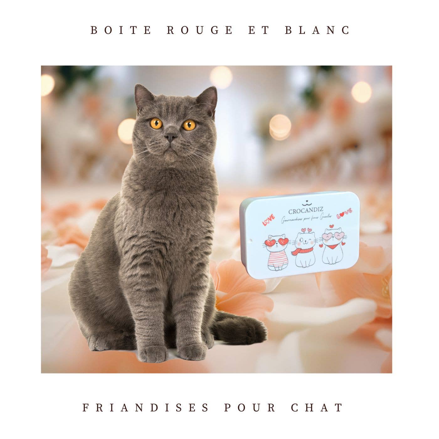 Boîte de friandises Chat Rouge & Blanc – Collection Love ❤️🐱