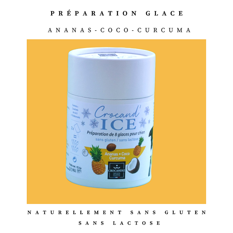 Glace pour chien ananas-coco