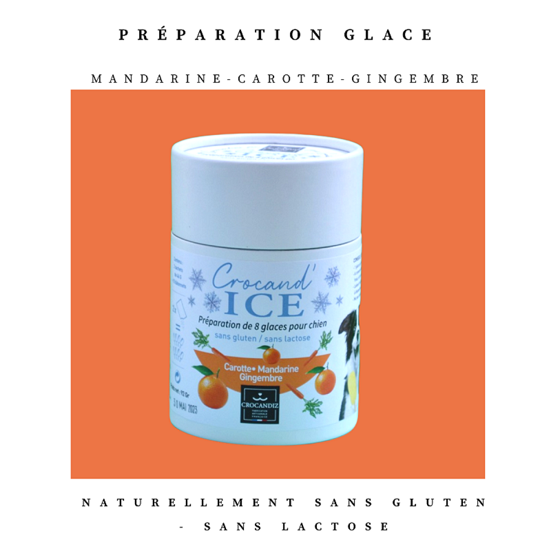 Glace pour chien carotte et mandarine