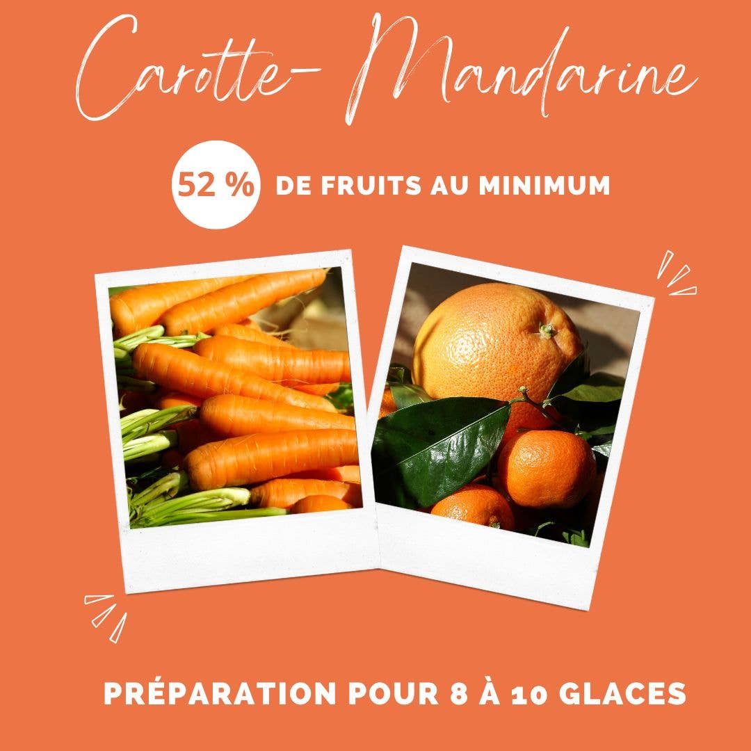 Glace pour chien carotte et mandarine