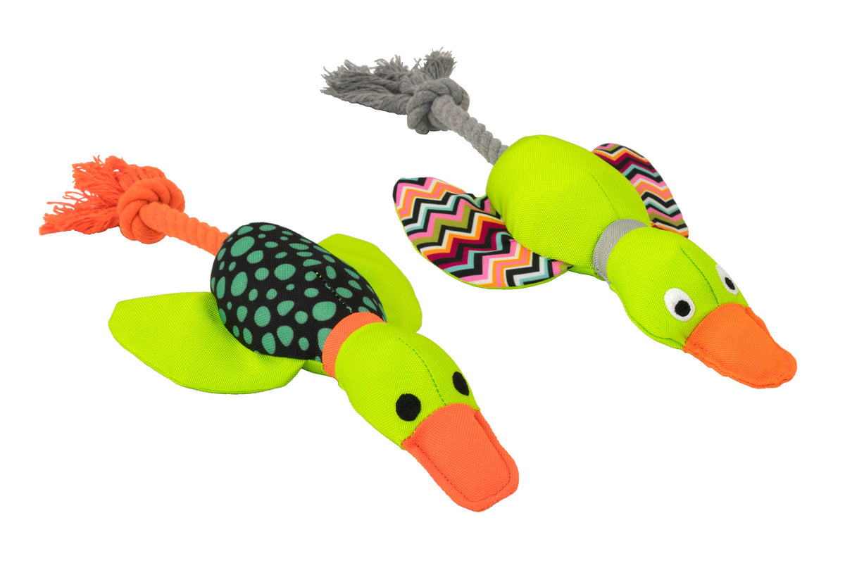 Canard Harry avec corde dentaire 30 cm