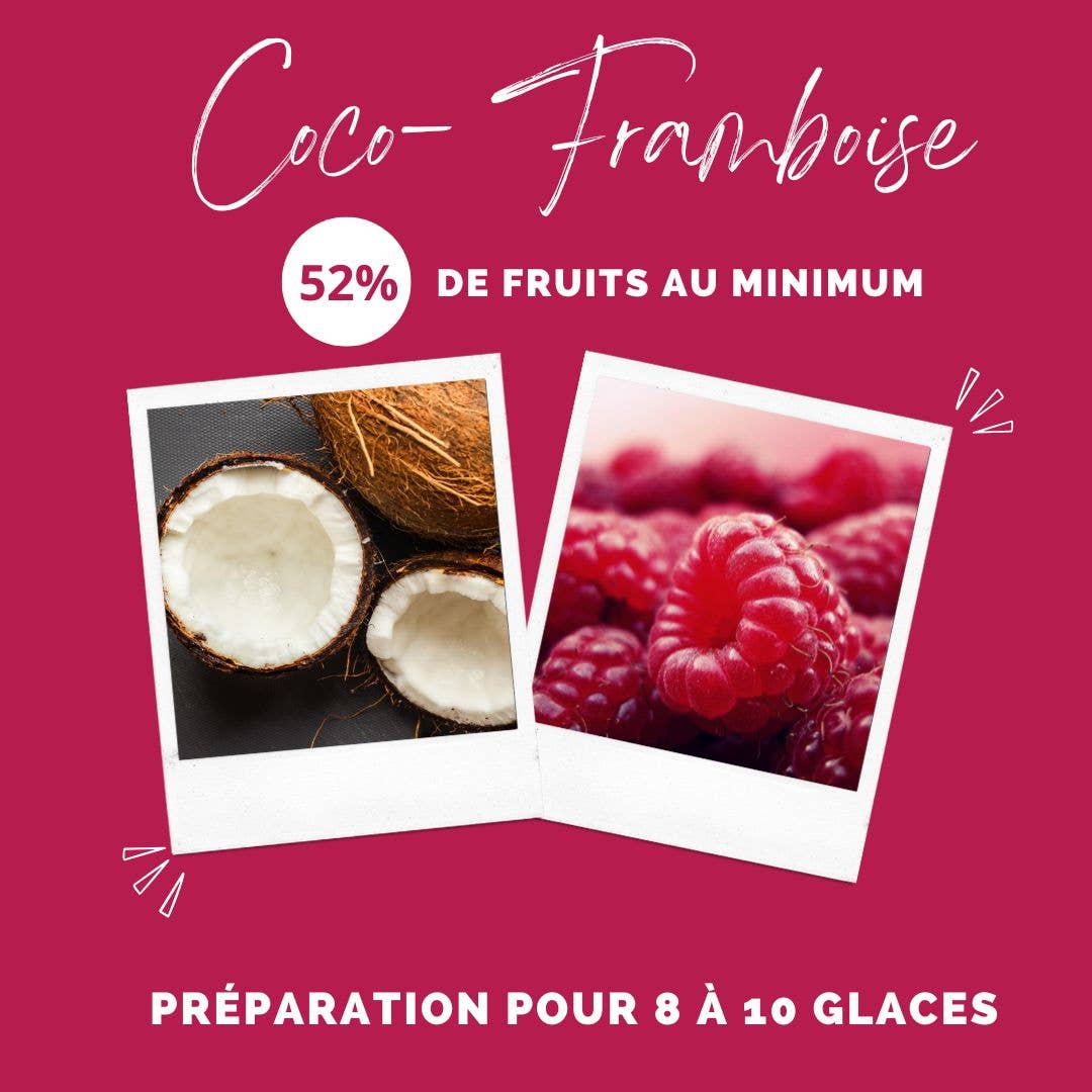 Glace pour chien  Coco et Framboise