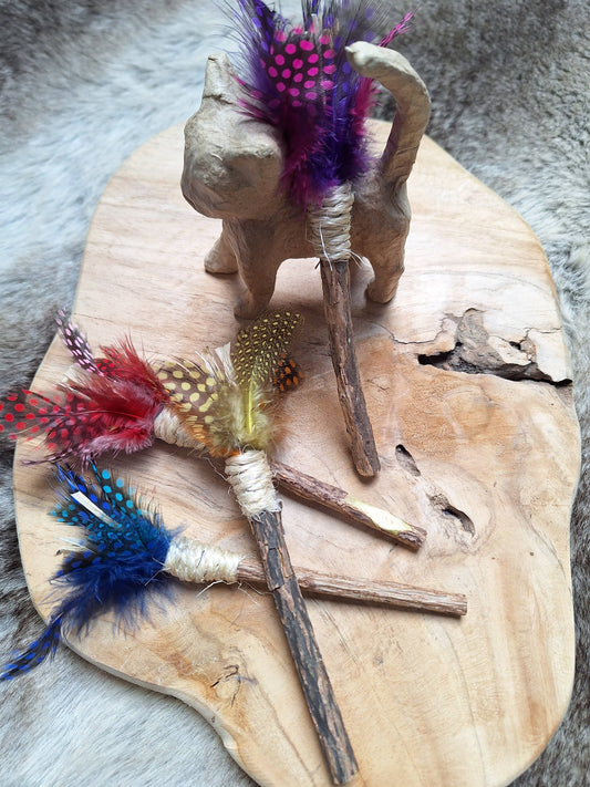 Bâton de Matatabi à plumes – Jeu naturel pour chat 🪶