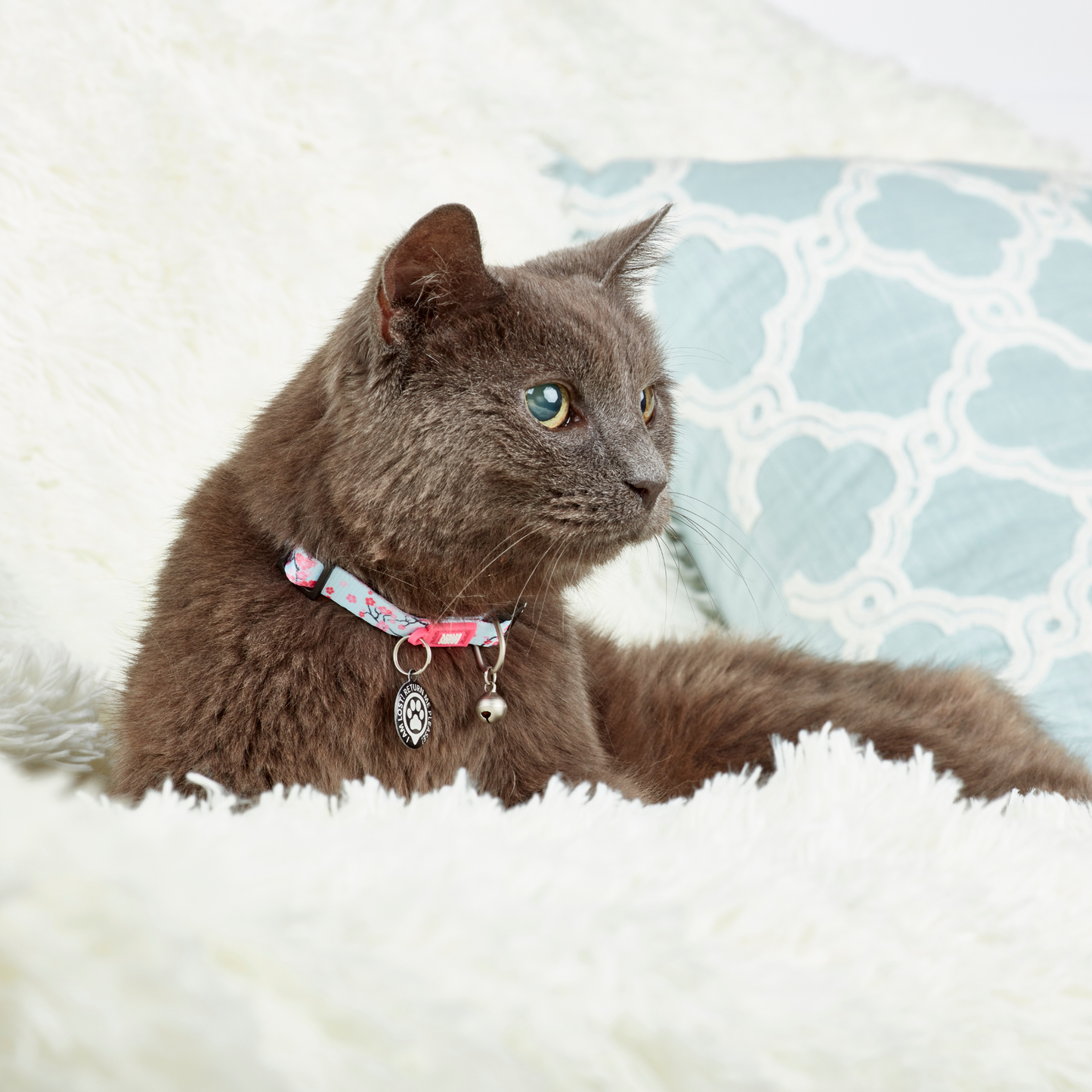 Collier Smart ID pour chat - Cherry Bloom