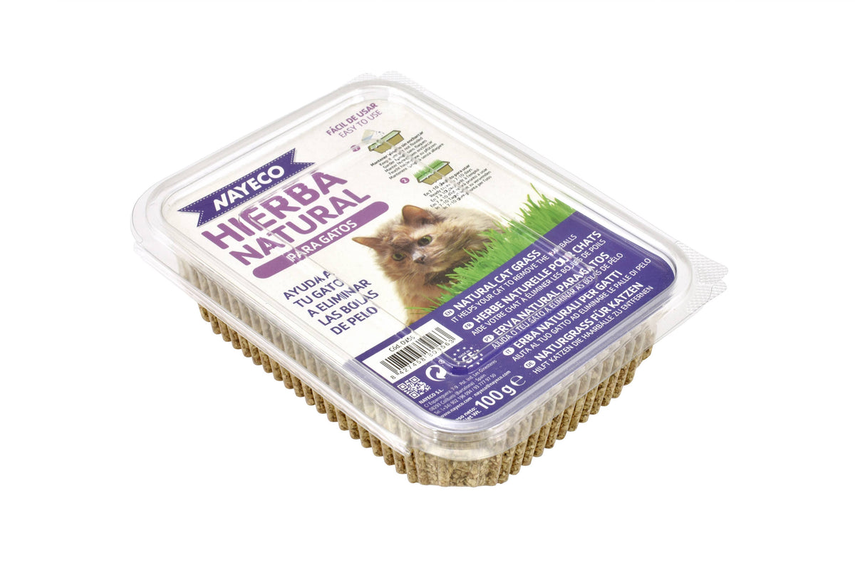 Herbe à chat – 120 g