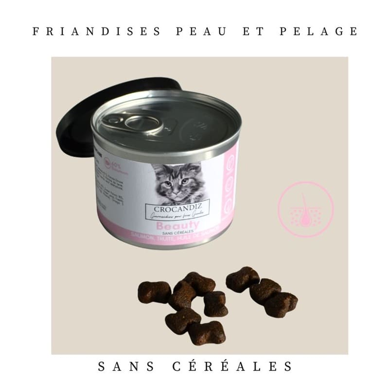 Friandises Beauty Peau & Pelage – Saumon pour chat